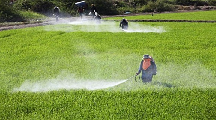 Global-Crop-Protection-Market-Research-Report Global-Crop-Protection-Market-Research-Report